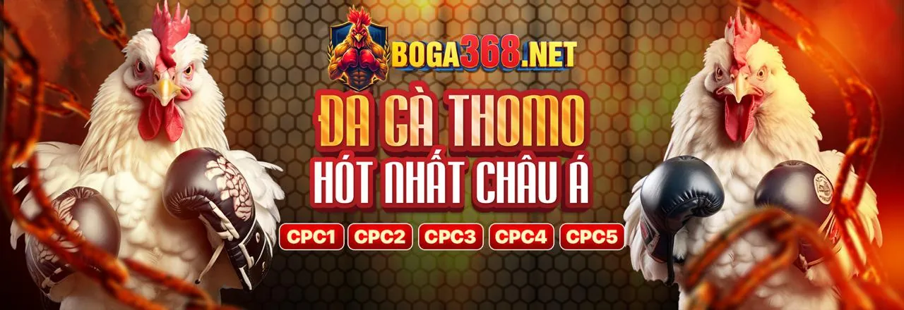 Đăng nhập dagac3 an toàn và nhanh chóng