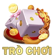Ảnh đại diện đối tác Lê Minh C