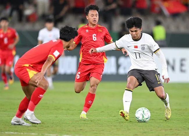 Giải đấu đá gà Dagac3